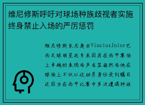 维尼修斯呼吁对球场种族歧视者实施终身禁止入场的严厉惩罚 维尼修斯呼吁对球场种族歧视者实施终身禁止入场的严厉惩罚