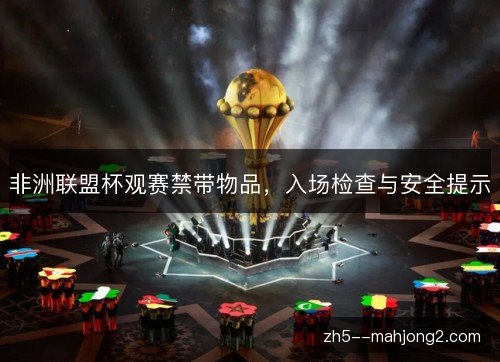 非洲联盟杯观赛禁带物品，入场检查与安全提示